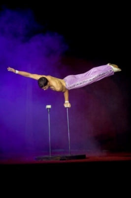 É hora do show! Assista ao espetáculo "Amar" do Le Cirque: 01 ingresso adulto + 01 ingresso infantil (até 12 anos) por R$22