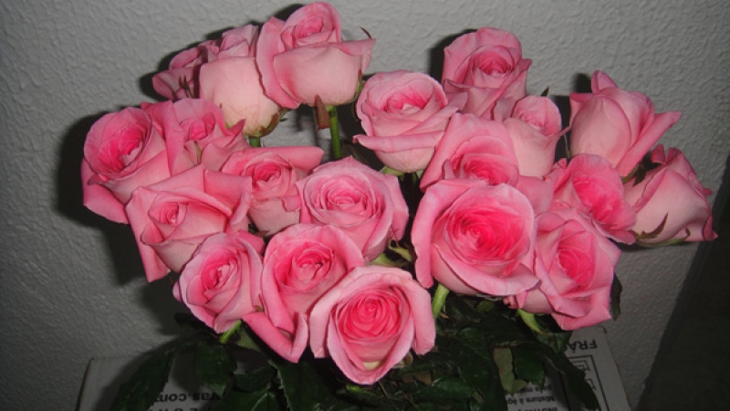 Conte com a CeaRosa para deixar sua decoração sofisticada e romântica! 500 rosas em diversas opções de cores de R$500 por R$325