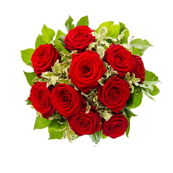 Há mais de 29 anos a Fujiflores está nos melhores momentos! Buquê de 12 rosas + Folhagens + Embalagem + Gypsophila por apenas R$39,90