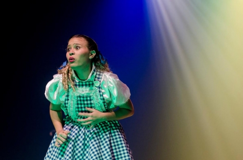 Um musical especial! 01 Ingresso para o musical "O Mágico de Oz" no Teatro Chico Anysio de R$20 apenas R$9,99